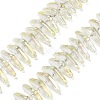 Electroplate Glass Beads Strands GLAA-K061-04A-FR01-1