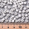 6/0 Glass Seed Beads SEED-A012-4mm-121-3