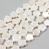 Electroplate Natural Freshwater Shell Beads Strands X-SHEL-T017-08-1
