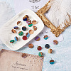Resin & Walnut Wood Stud Earring Findings MAK-CD0001-06-7