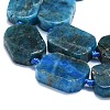 Natural Apatite Beads Strands G-K245-J20-01-3