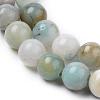 Natural Flower Amazonite Beads Strands G-L476-12-3