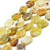 Natural Yellow Opal Beads Strands G-K245-L01-01-1