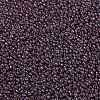 MIYUKI Round Rocailles Beads X-SEED-G008-RR0302-3