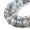 Natural Aquamarine Beads Strands G-F641-02-10mm-01A-3