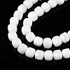 Natural White Shell Beads Strands SSHEL-N038-60-3