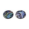 Natural Paua Shell Disc Charms SSHEL-N040-19B-2
