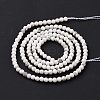 Natural Howlite Beads Strands G-H273-02A-4