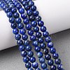 Natural Lapis Lazuli Beads Strands G-K366-G03-6mm-1