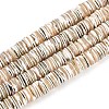 Luminous Natural Seashell Shell Beads Strands SSHEL-T017-34-1