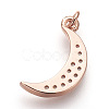 Brass Micro Pave Cubic Zirconia Charms ZIRC-E152-27RG-RS-2