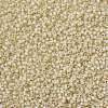 MIYUKI Round Rocailles Beads X-SEED-G008-RR0577-4