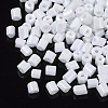 6/0 Two Cut Glass Seed Beads SEED-S033-07B-04-2