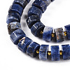 Natural Sodalite Beads Strands G-T140-26-3