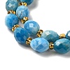 Natural Apatite Beads Strands G-H297-C03-01-3