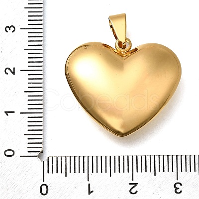 304 Stainless Steel Pendants STAS-H200-01G-02-1
