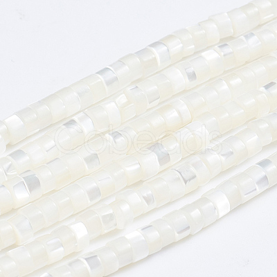 Natural Trochid Shell/Trochus Shell Beads Strands SSHEL-L016-13A-1