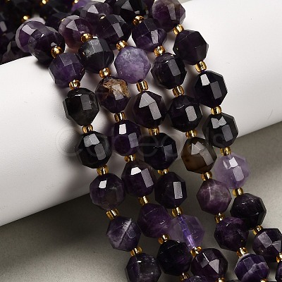 Natural Amethyst Beads Strands G-P568-B01-01-1
