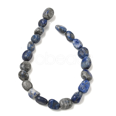 Natural Lapis Lazuli Beads Strands G-C286-A06-1