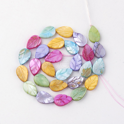 Natural Freshwater Shell Beads SHEL-Q008-05-1