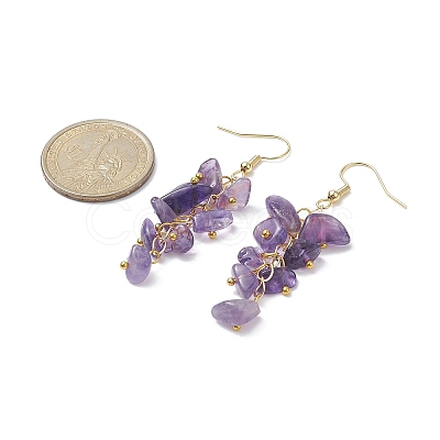 Natural Amethyst Chips Dangle Earrings EJEW-JE05266-01-1