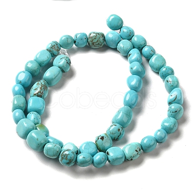 Natural Howlite Beads Strands G-C025-16-1