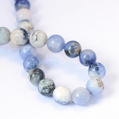 Natural Sodalite Round Bead Strands G-E334-4mm-08-1