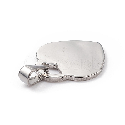 Non-Tarnish 304 Stainless Steel Pendants STAS-G284-19P-1