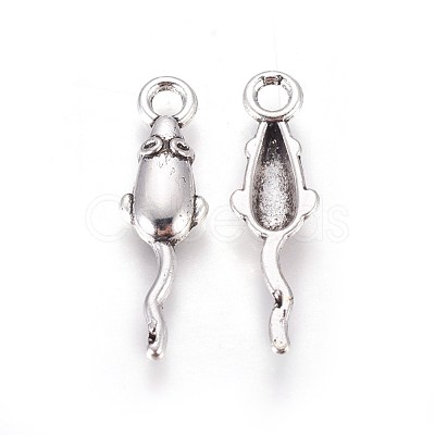 Tibetan Style Zinc Alloy Pendants A-PALLOY-F248-013AS-1