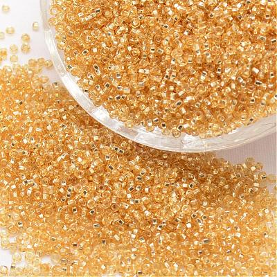 8/0 Round Glass Seed Beads SEED-J018-F8-62-1