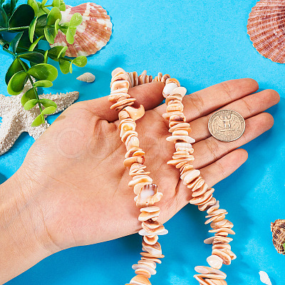 1 Strand Natural Seashell Shell Beads Strands SSHEL-TA0001-13-1