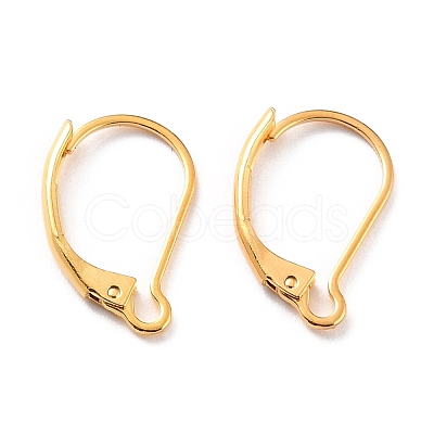 Ion Plating(IP) 304 Stainless Steel Leverback Earring Findings STAS-K233-04G-01-1