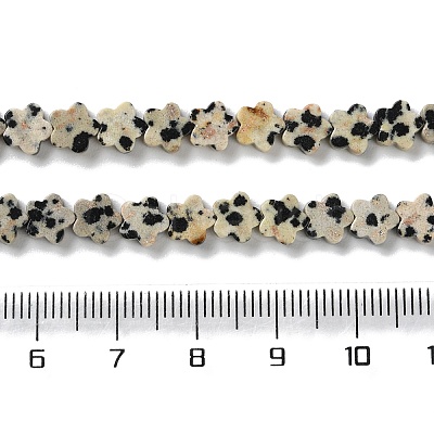 Natural Dalmatian Jasper Beads Strands G-B138-C08-01-1