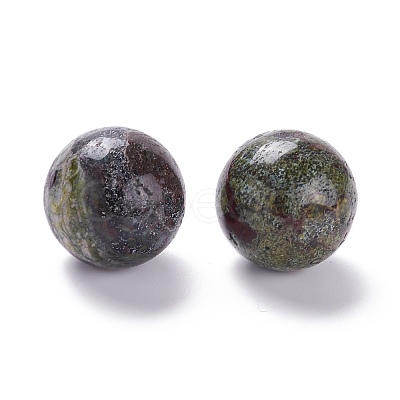 Natural Dragon Bloodstone Beads G-D456-07-1