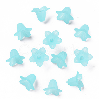 Transparent Acrylic Beads PLF018-13-1