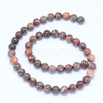 Natural Leopard Skin Jasper Beads Strands G-J358-05-10mm-1