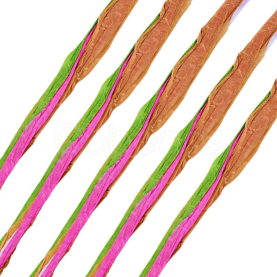 Raffia Twine Yarn OCOR-TAC0025-009B-1