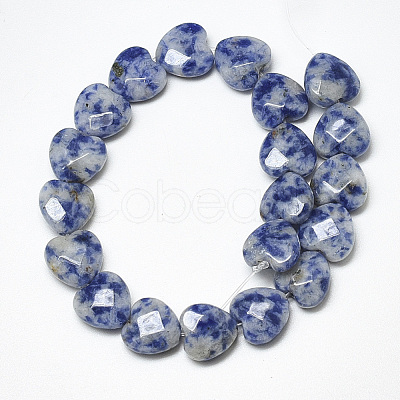 Natural Blue Spot Jasper Beads Strands G-S357-E01-06-1