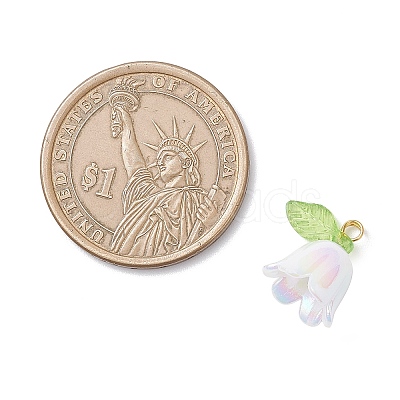 5Pcs Transparent Acrylic Pendants PALLOY-JF04703-01-1