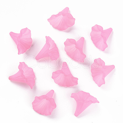 Transparent Acrylic Beads BSF796-C10-1