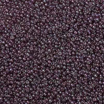 MIYUKI Round Rocailles Beads X-SEED-G008-RR0302-1