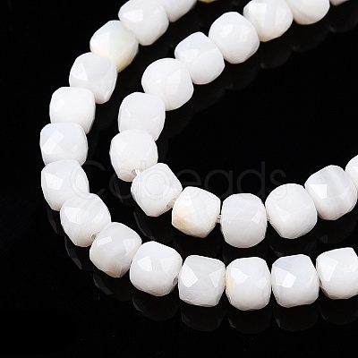 Natural White Shell Beads Strands SSHEL-N038-60-1