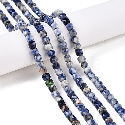 Natural Blue Spot Jasper Beads Strands G-N342-113-1