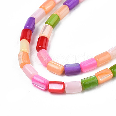 Natural Trochid Shell/Trochus Shell Beads Strands SHEL-N003-26-B01-1