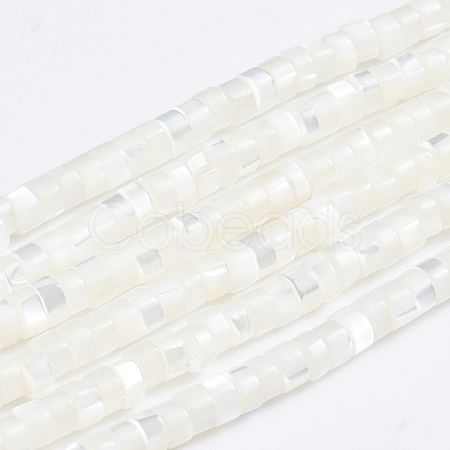 Natural Trochid Shell/Trochus Shell Beads Strands SSHEL-L016-13A-1