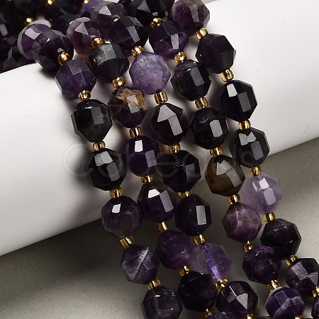 Natural Amethyst Beads Strands G-P568-B01-01-1