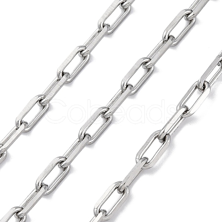 304 Stainless Steel Paperclip Chains CHS-M009-06P-04-1