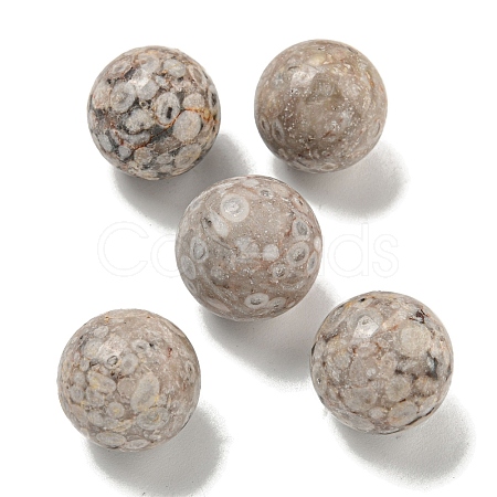 Natural Maifanite Round Ball Figurines Statues for Home Office Desktop Decoration G-P532-02A-30-1