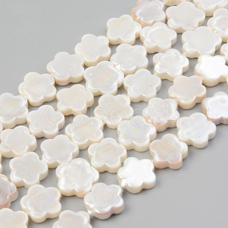 Electroplate Natural Freshwater Shell Beads Strands X-SHEL-T017-08-1