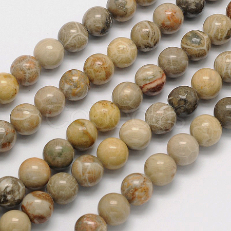 Natural Fossil Coral Round Bead Strands X-G-N0166-05-6mm-1